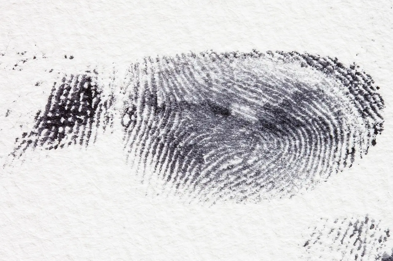 SSM Health touts seizure detection technology - morningsentinel.com