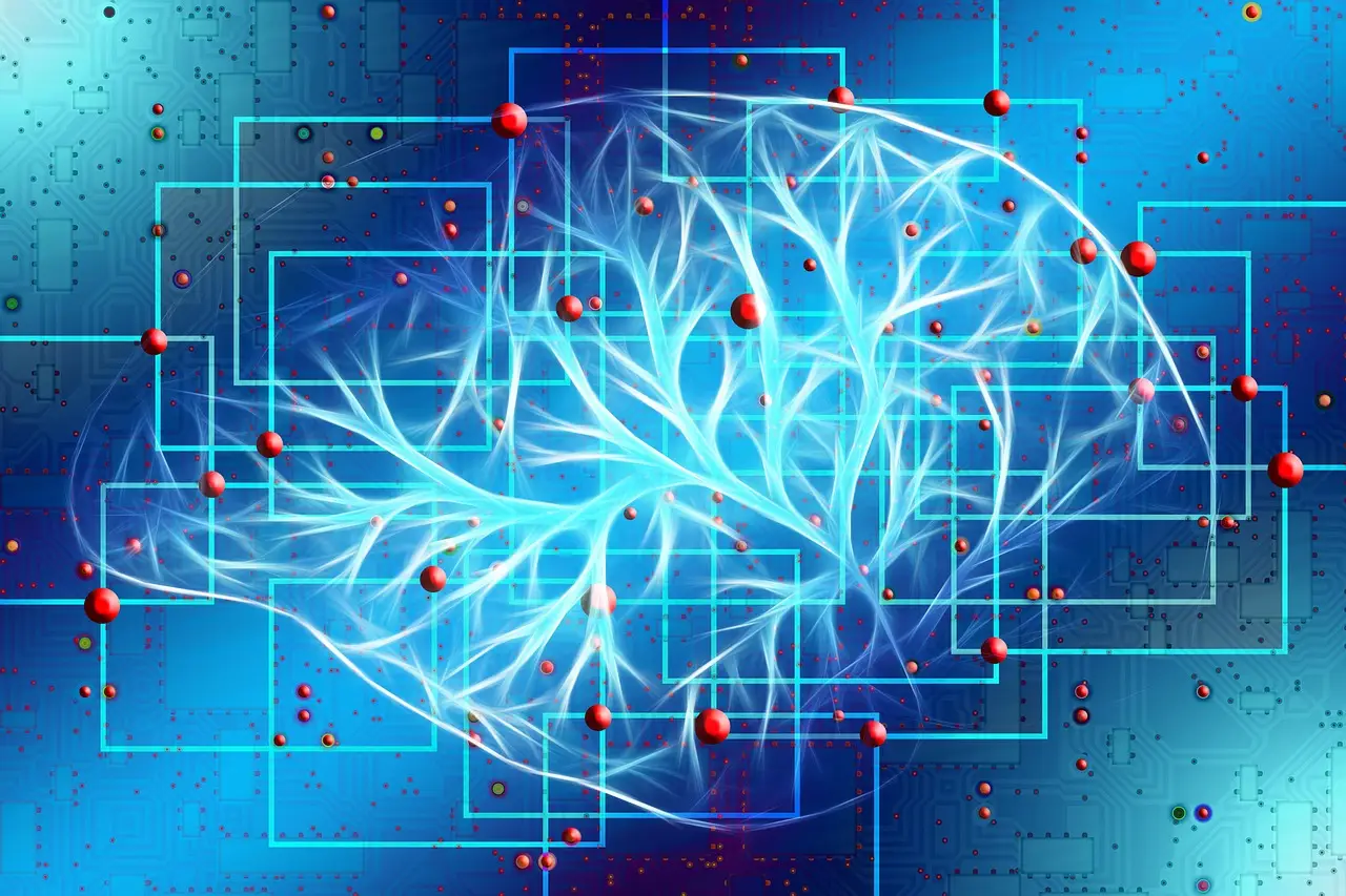 Dissociation Between Neural Functional Connectivity and Brain Volume Loss with Age: Insights from Resting-State Magnetoe