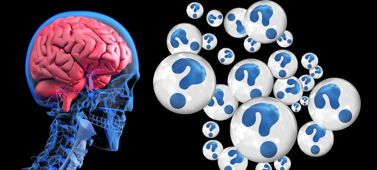 Prefrontal and Occipital Network Excitability Differences in Dementia with Lewy Bodies and Alzheimer's Disease